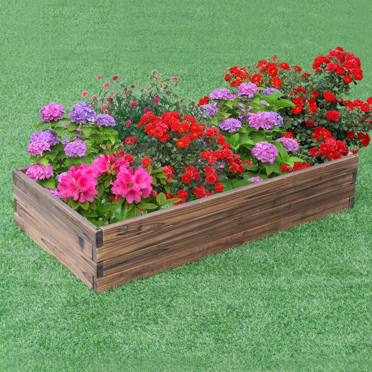 Elevated Wooden Garden Planter Box Bed Kit - Cheeky Garden