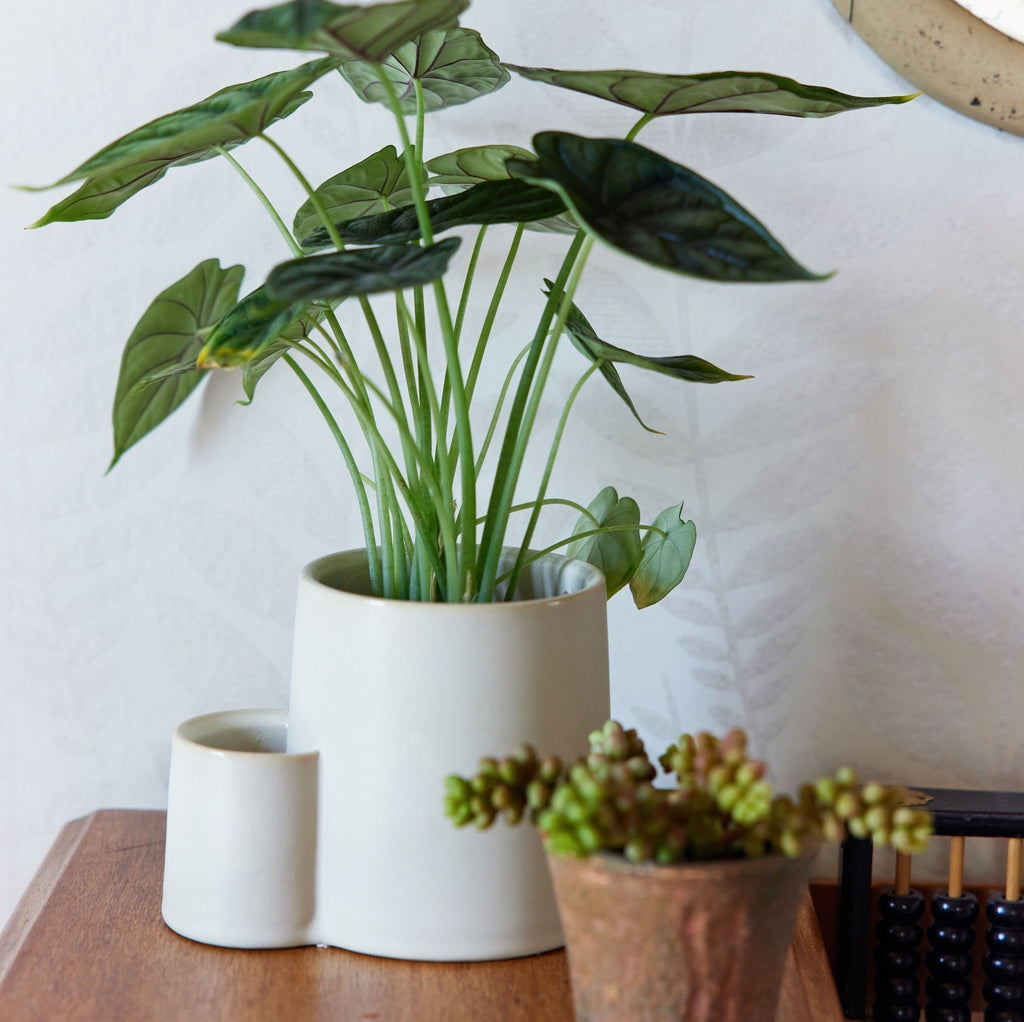 Ember Earth Candle + Planter - Cheeky Garden