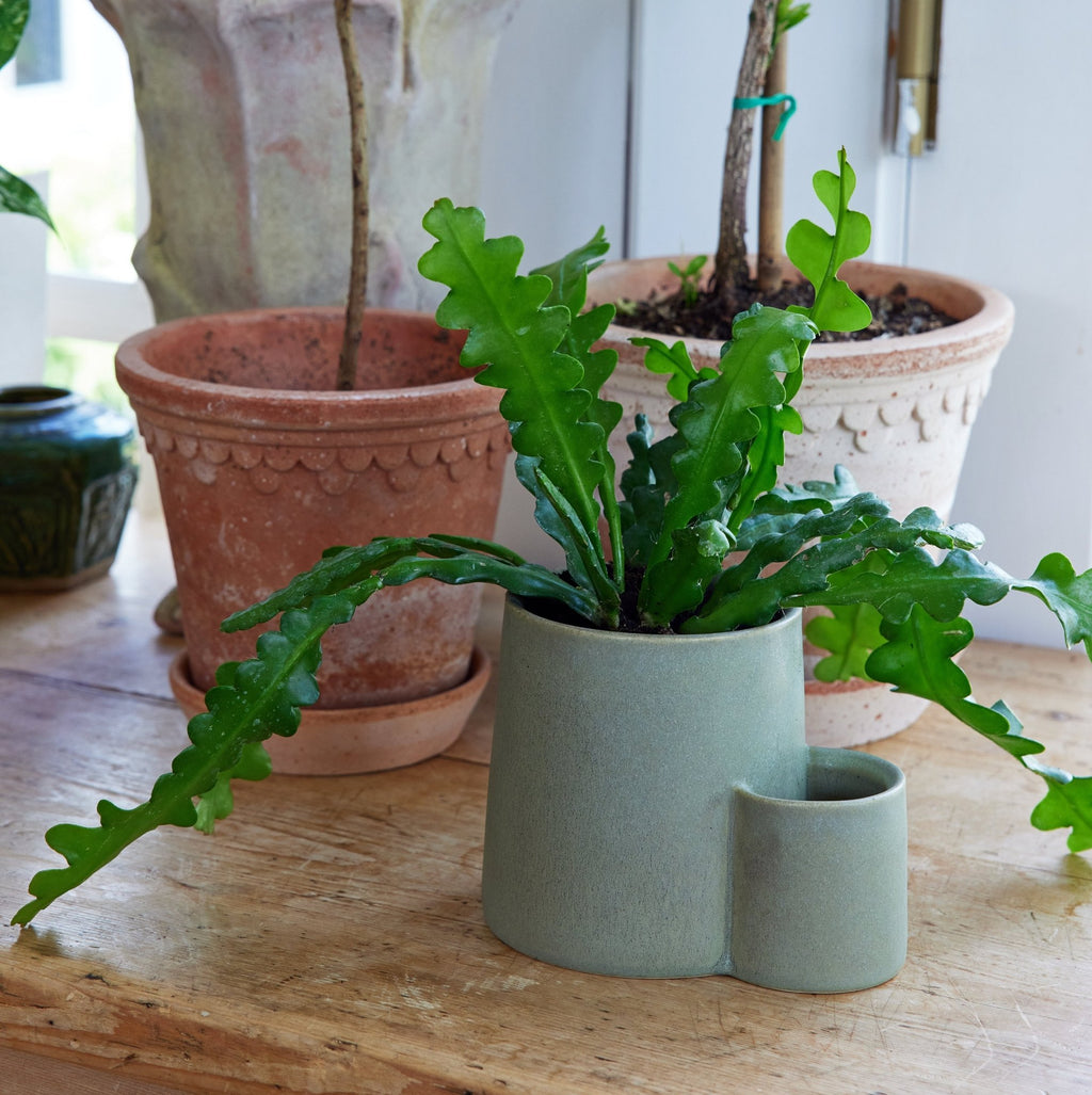 Ember Earth Candle + Planter - Cheeky Garden