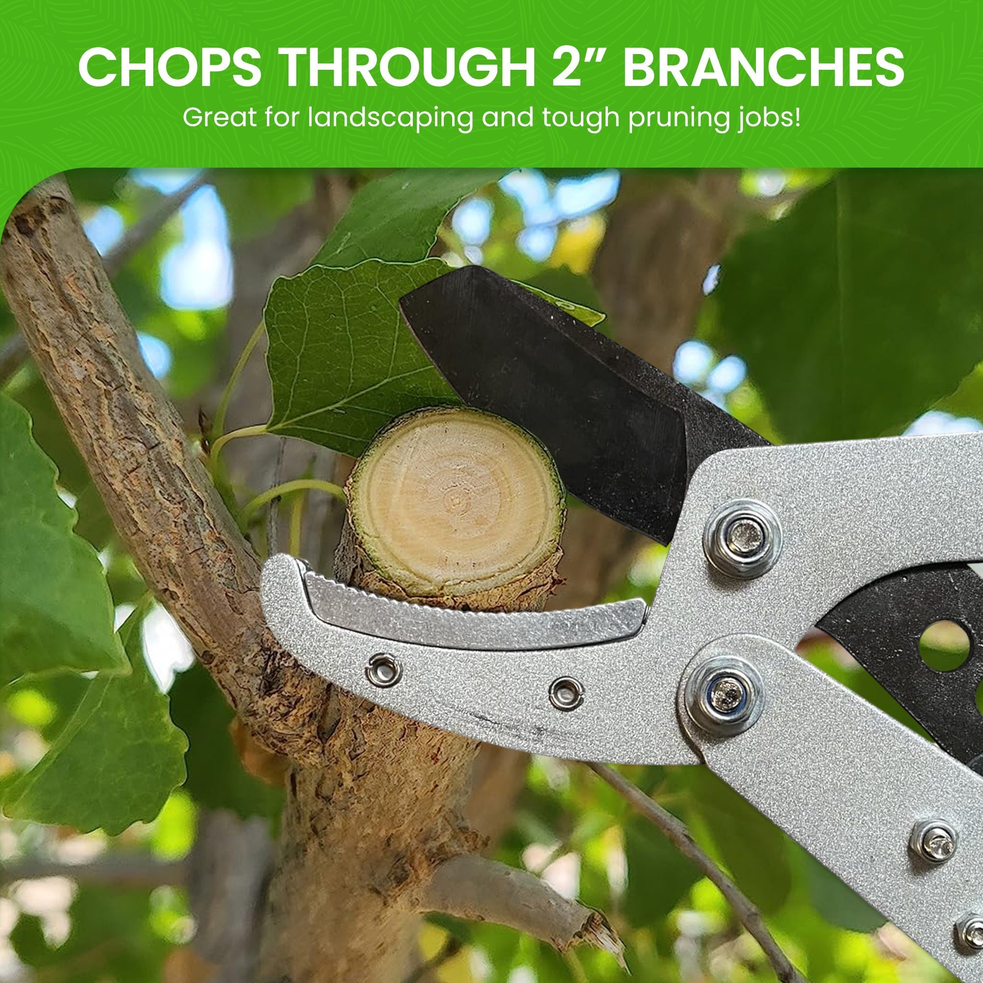 Extendable Anvil Loppers Tree Trimmers - Cheeky Garden