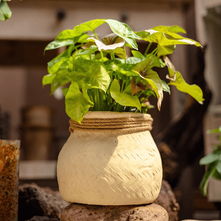 Faux Bamboo Woven Cement Planter - Cheeky Garden
