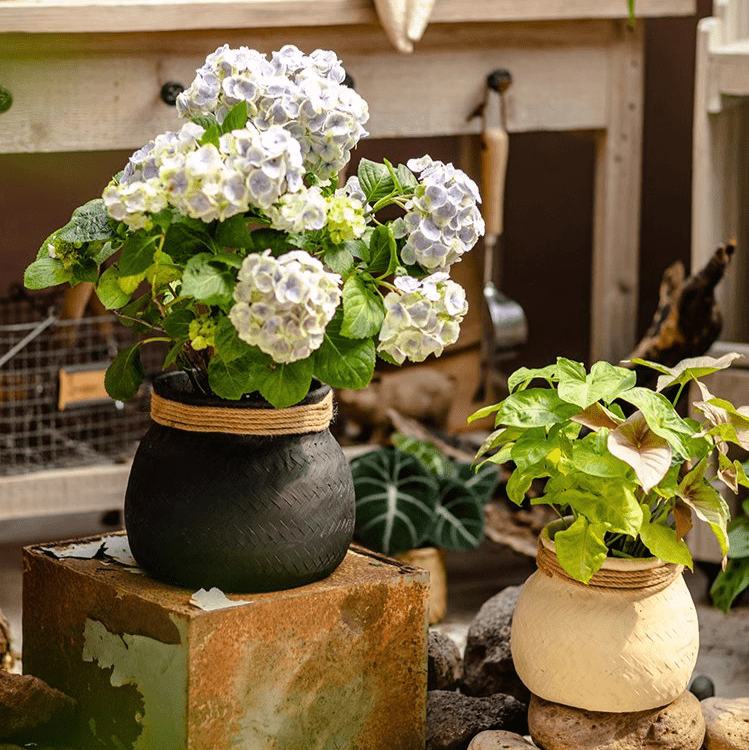Faux Bamboo Woven Cement Planter - Cheeky Garden