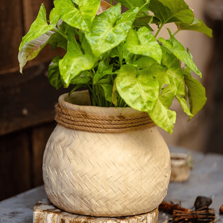 Faux Bamboo Woven Cement Planter - Cheeky Garden