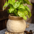Faux Bamboo Woven Cement Planter - Cheeky Garden