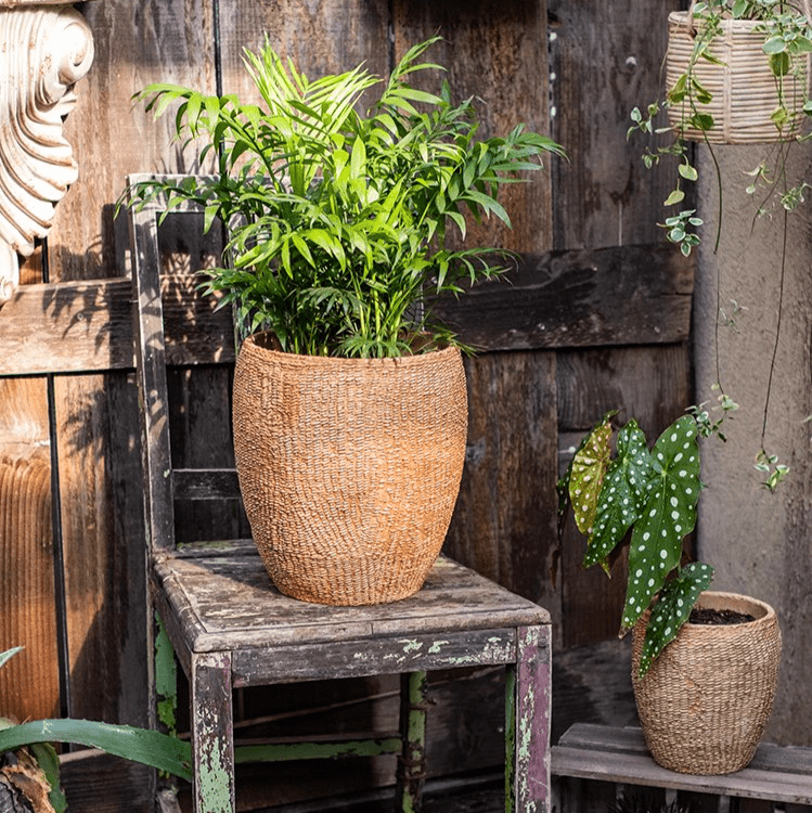 Faux Grass-Woven Cement Planter - Cheeky Garden