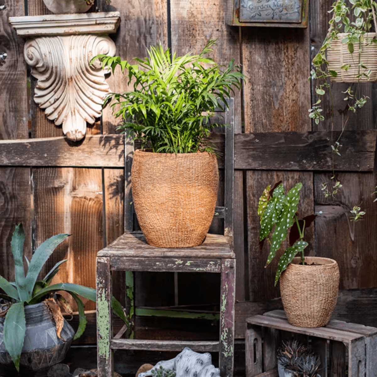Faux Grass-Woven Cement Planter - Cheeky Garden