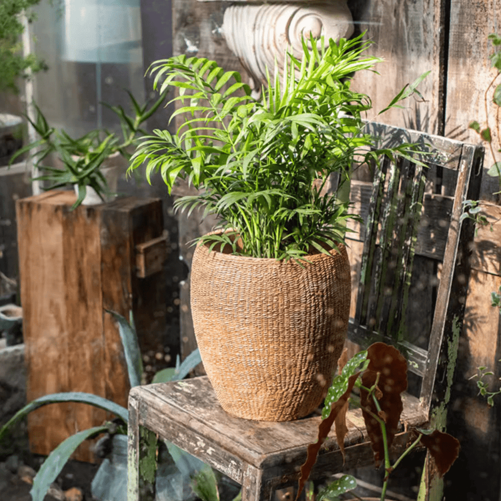 Faux Grass-Woven Cement Planter - Cheeky Garden