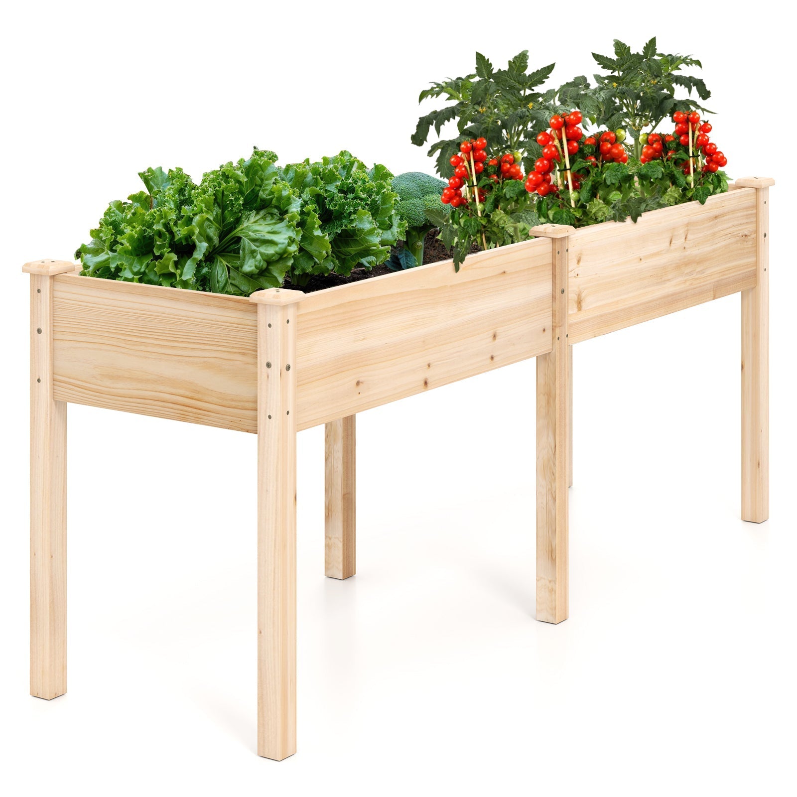 Fir Wood Outdoor Raised Garden Bed with Divider Panel and Drainage Holes - Cheeky Garden
