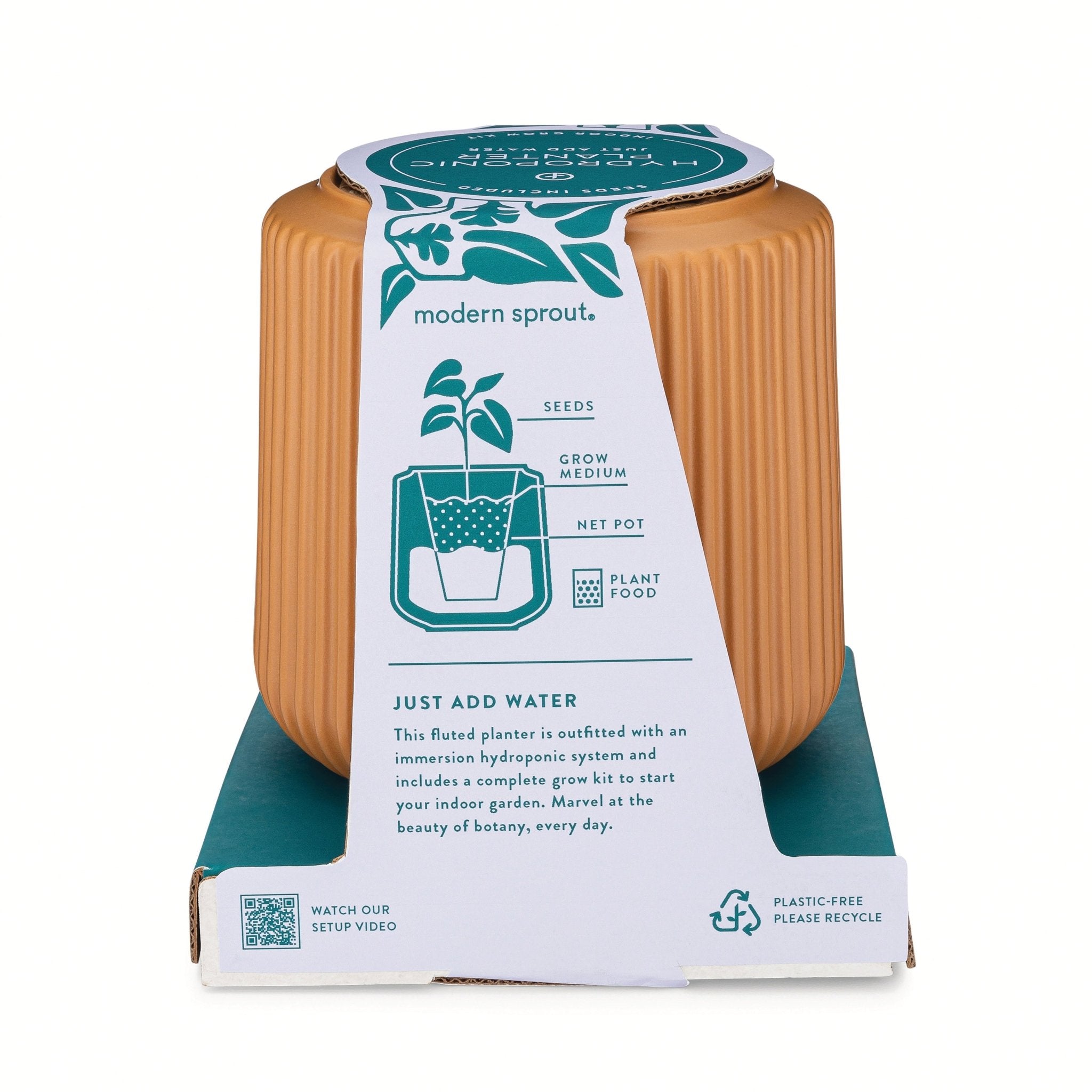 Flower Grow Kits - Cheeky Garden