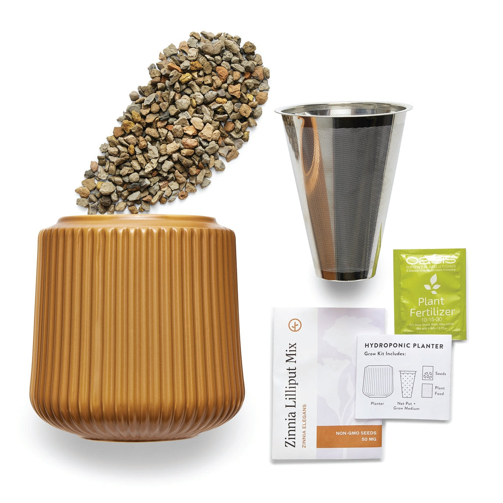 Flower Grow Kits - Cheeky Garden