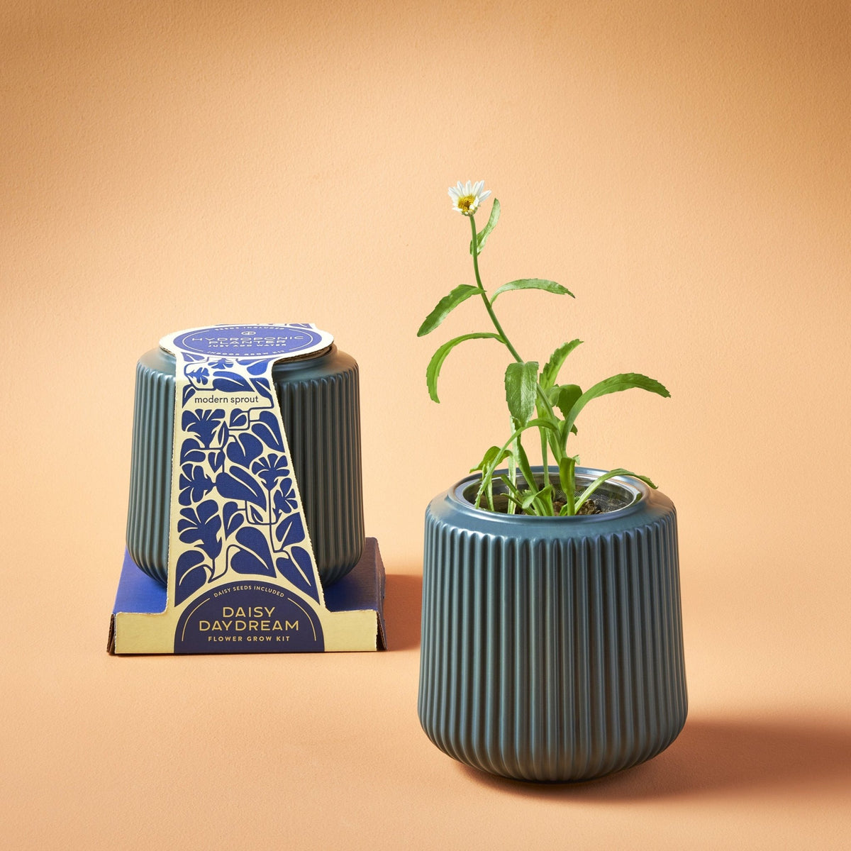 Flower Grow Kits - Cheeky Garden