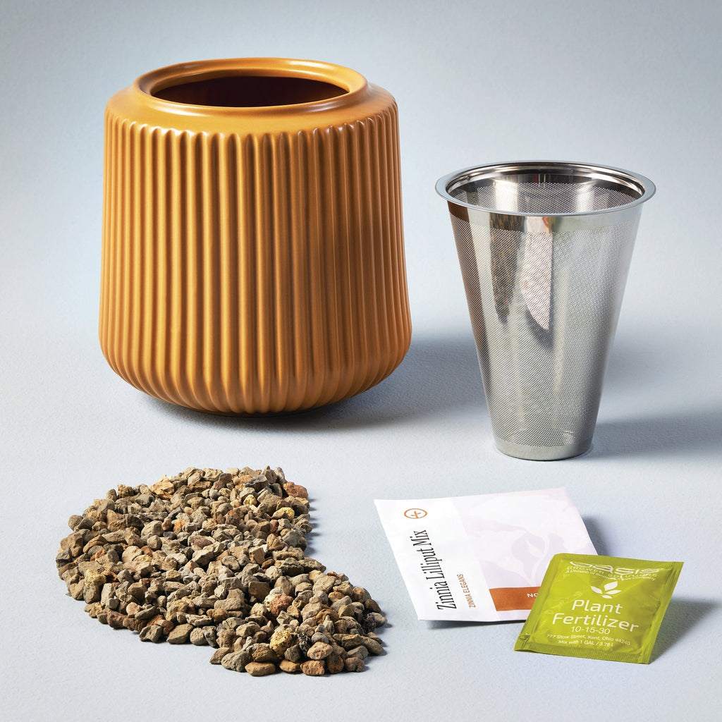 Flower Grow Kits - Cheeky Garden
