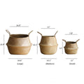 Foldable Seagrass Belly Basket with Handles - Cheeky Garden