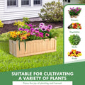 Folding Wooden Raised Garden Bed with Removable Bottom for Herbs Fruits Flowers - Cheeky Garden