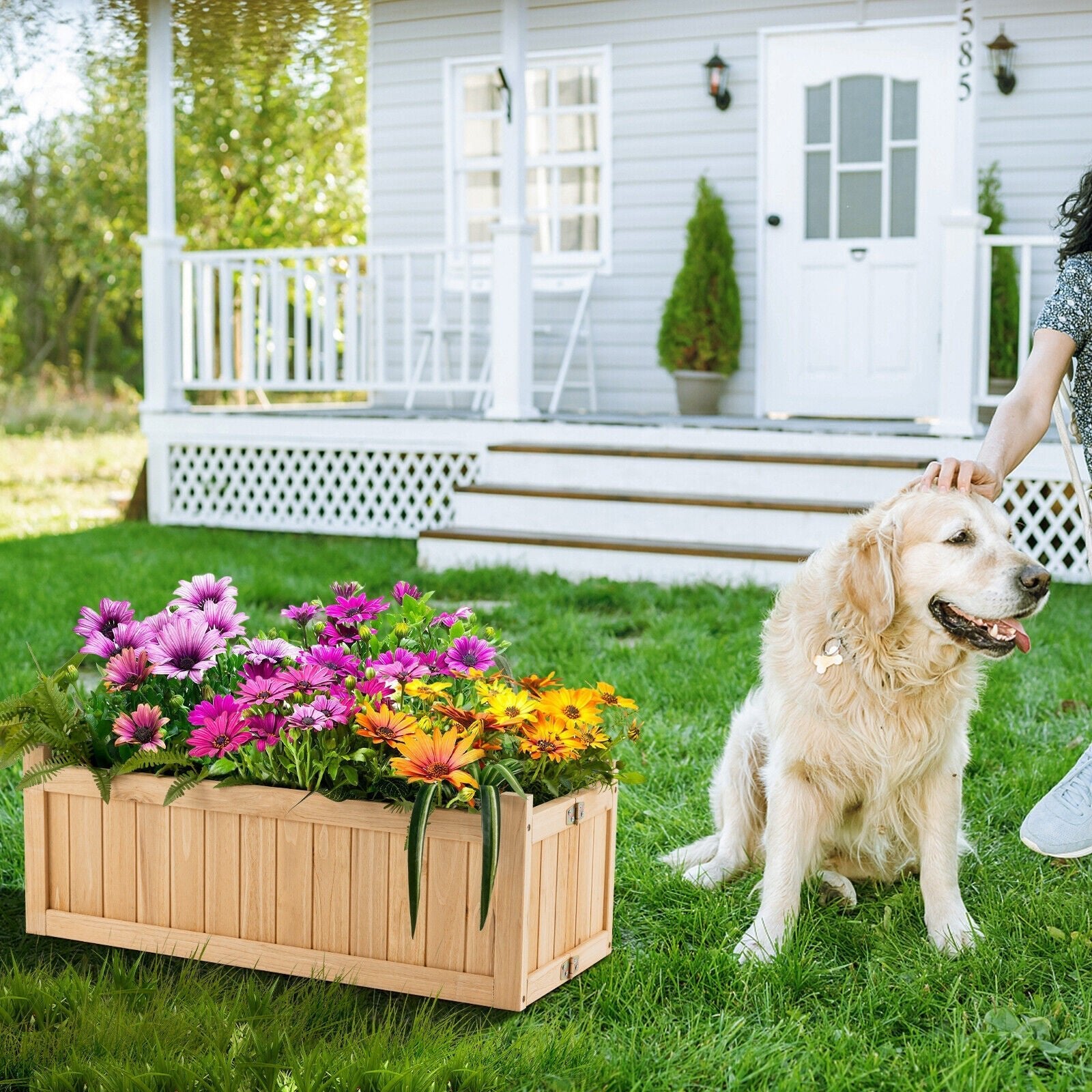 Folding Wooden Raised Garden Bed with Removable Bottom for Herbs Fruits Flowers - Cheeky Garden