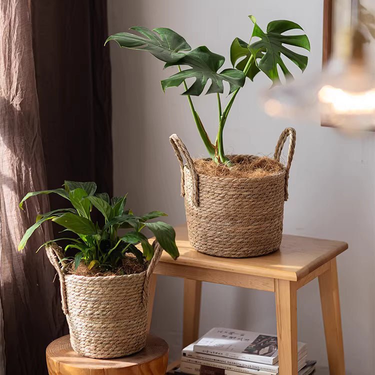 French Country Woven Planter Basket - Cheeky Garden