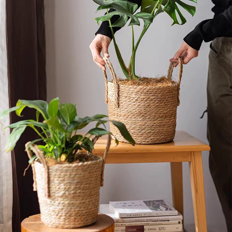 French Country Woven Planter Basket - Cheeky Garden