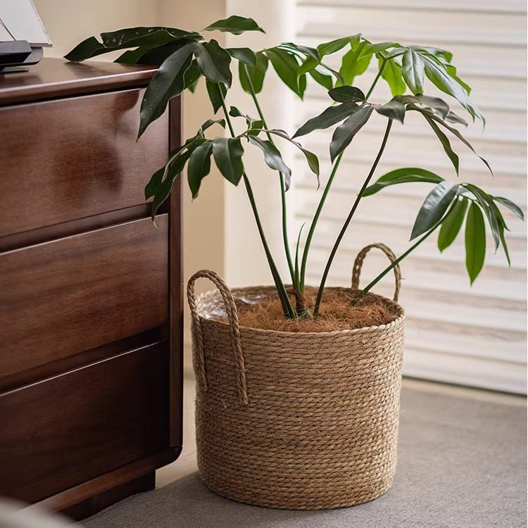 French Country Woven Planter Basket - Cheeky Garden