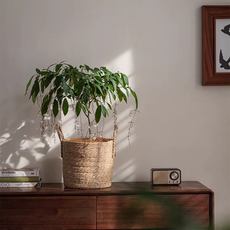 French Country Woven Planter Basket - Cheeky Garden