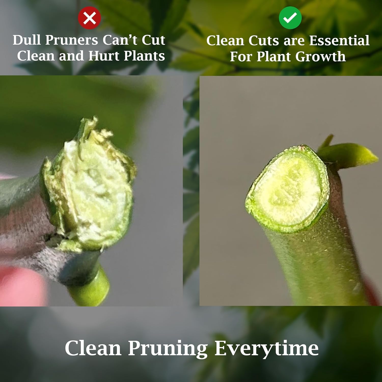 Garden Bypass Pruner Elite - Cheeky Garden