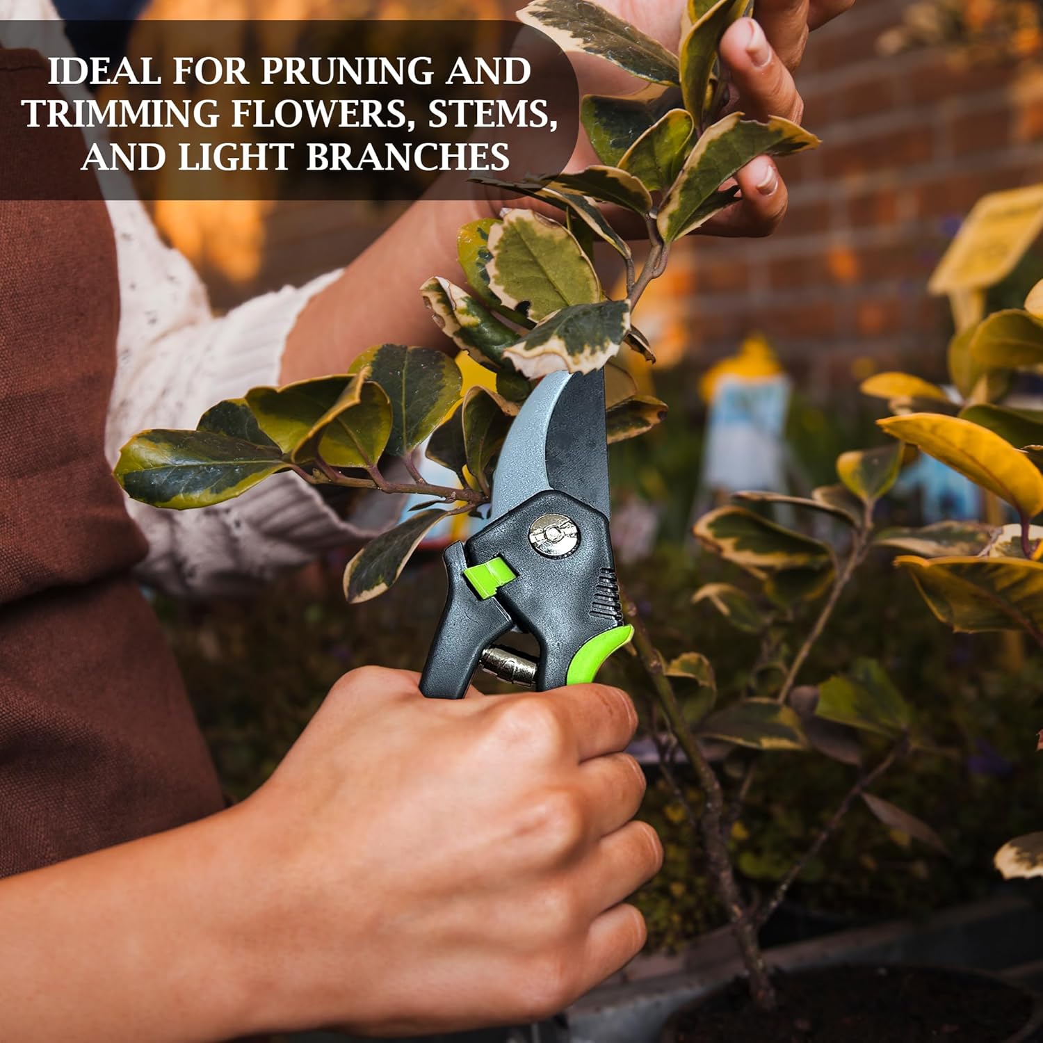 Garden Bypass Pruner Elite - Cheeky Garden