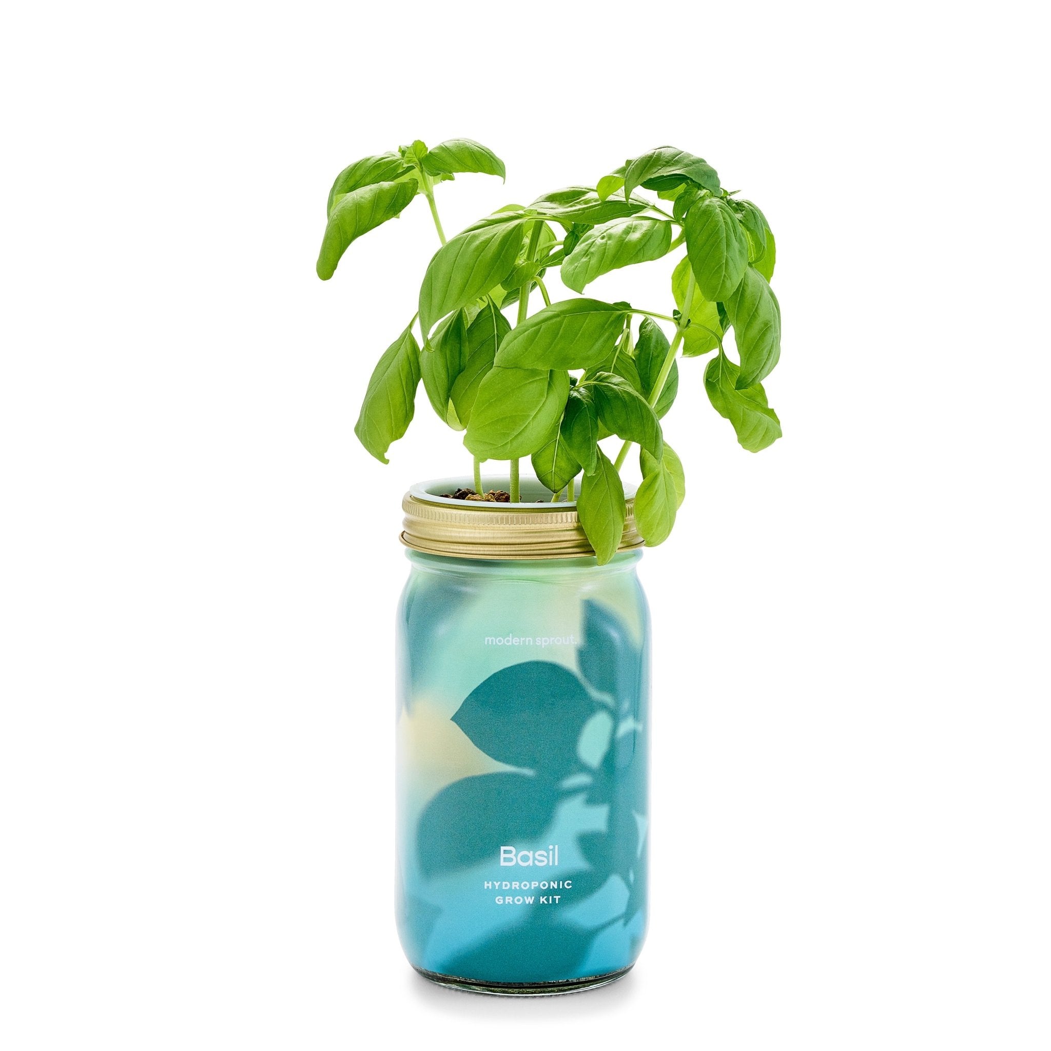 Garden Jars - Organic Herbs - Cheeky Garden