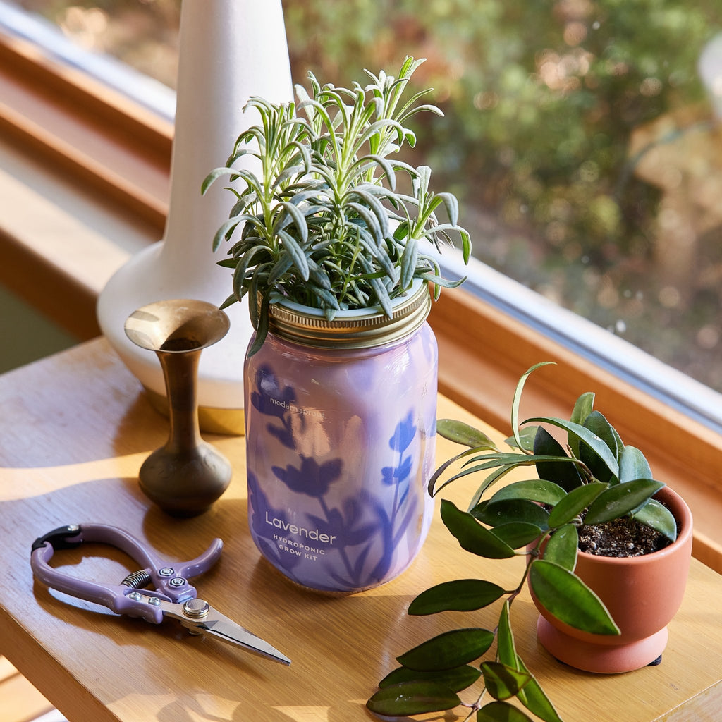 Garden Jars - Organic Herbs - Cheeky Garden