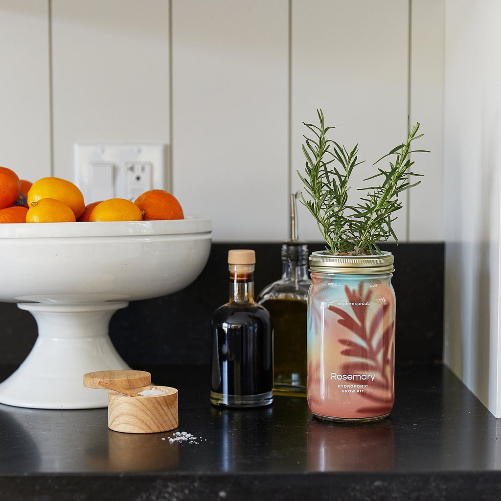 Garden Jars - Organic Herbs - Cheeky Garden
