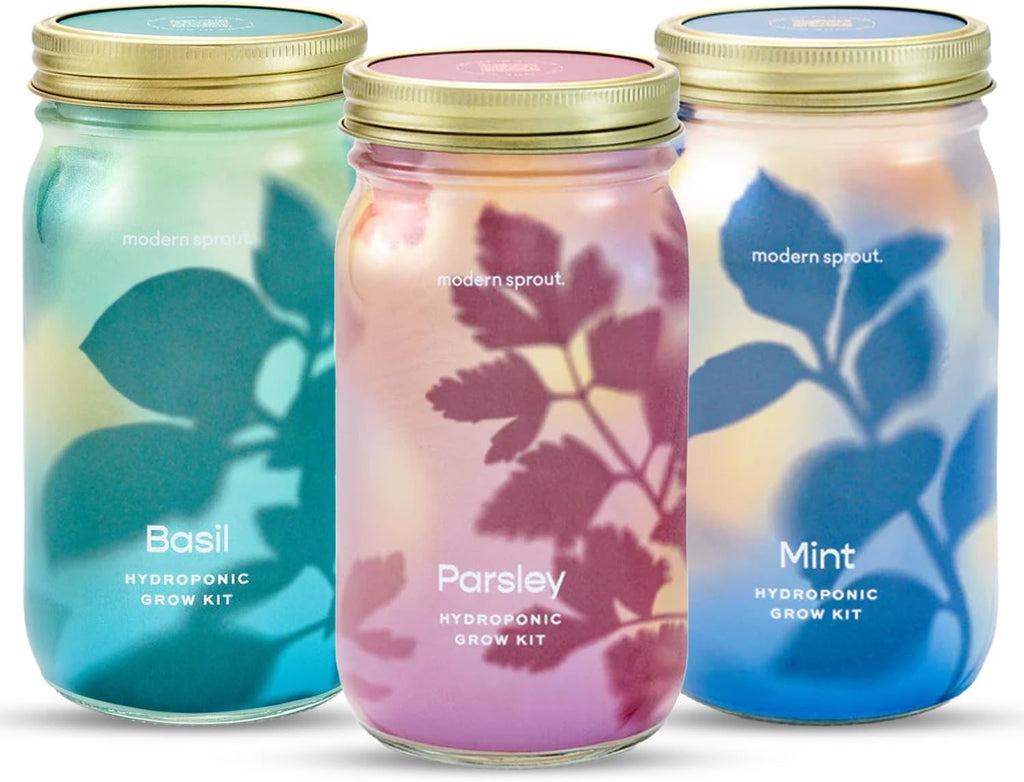 Garden Jars - Organic Herbs - Cheeky Garden