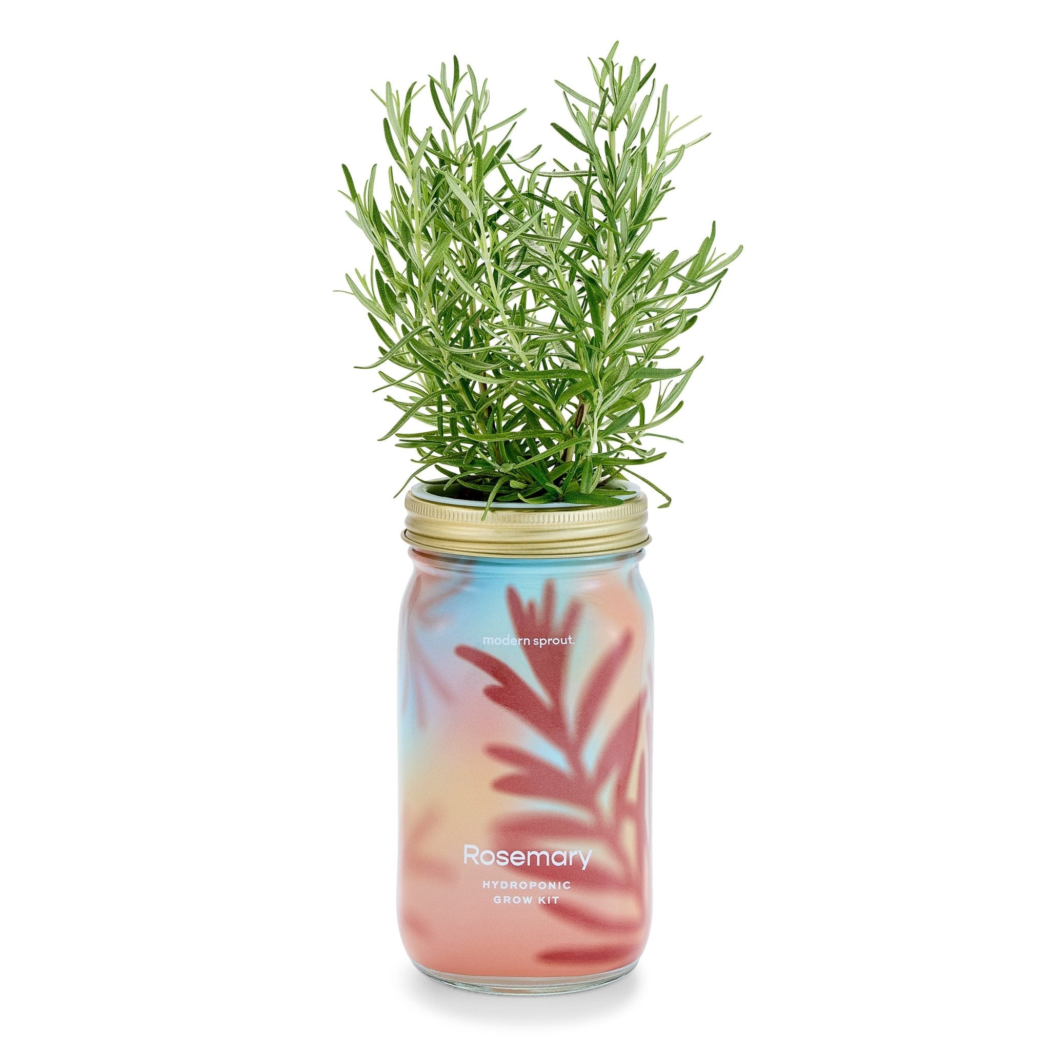 Garden Jars - Organic Herbs - Cheeky Garden