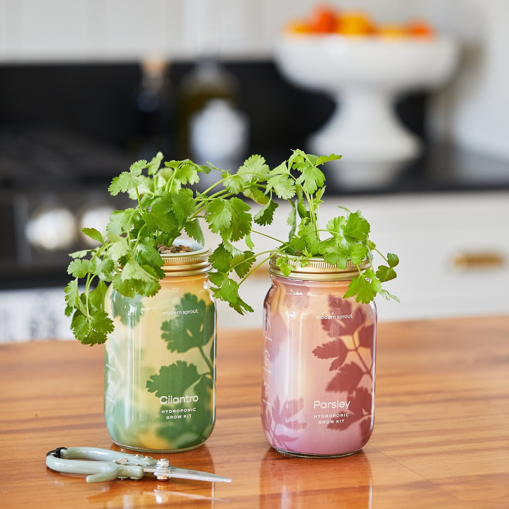 Garden Jars - Organic Herbs - Cheeky Garden