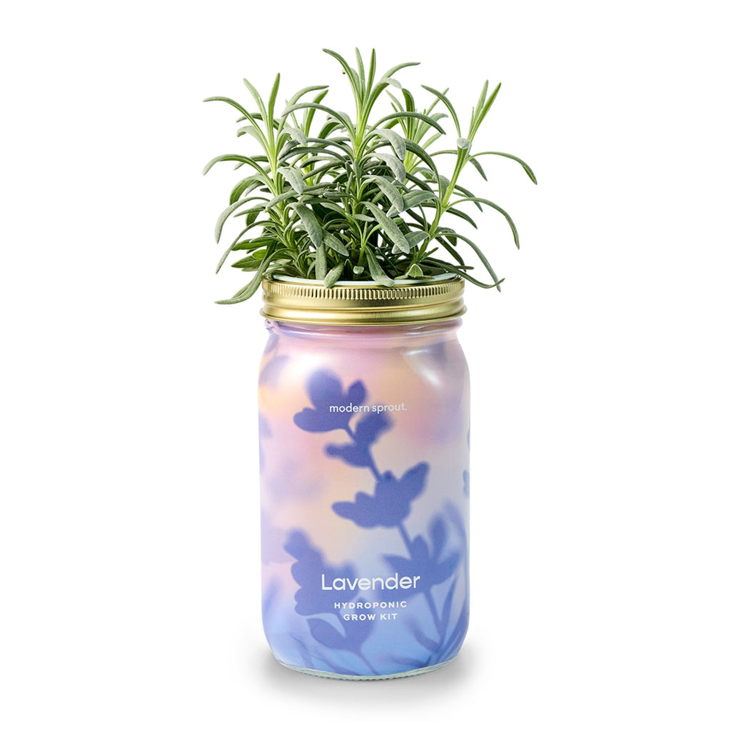 Garden Jars - Organic Herbs - Cheeky Garden