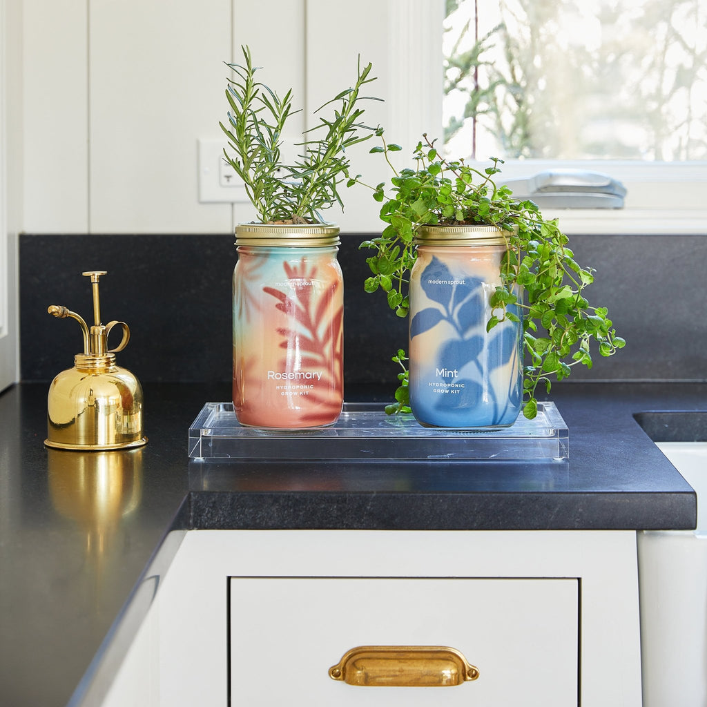 Garden Jars - Organic Herbs - Cheeky Garden