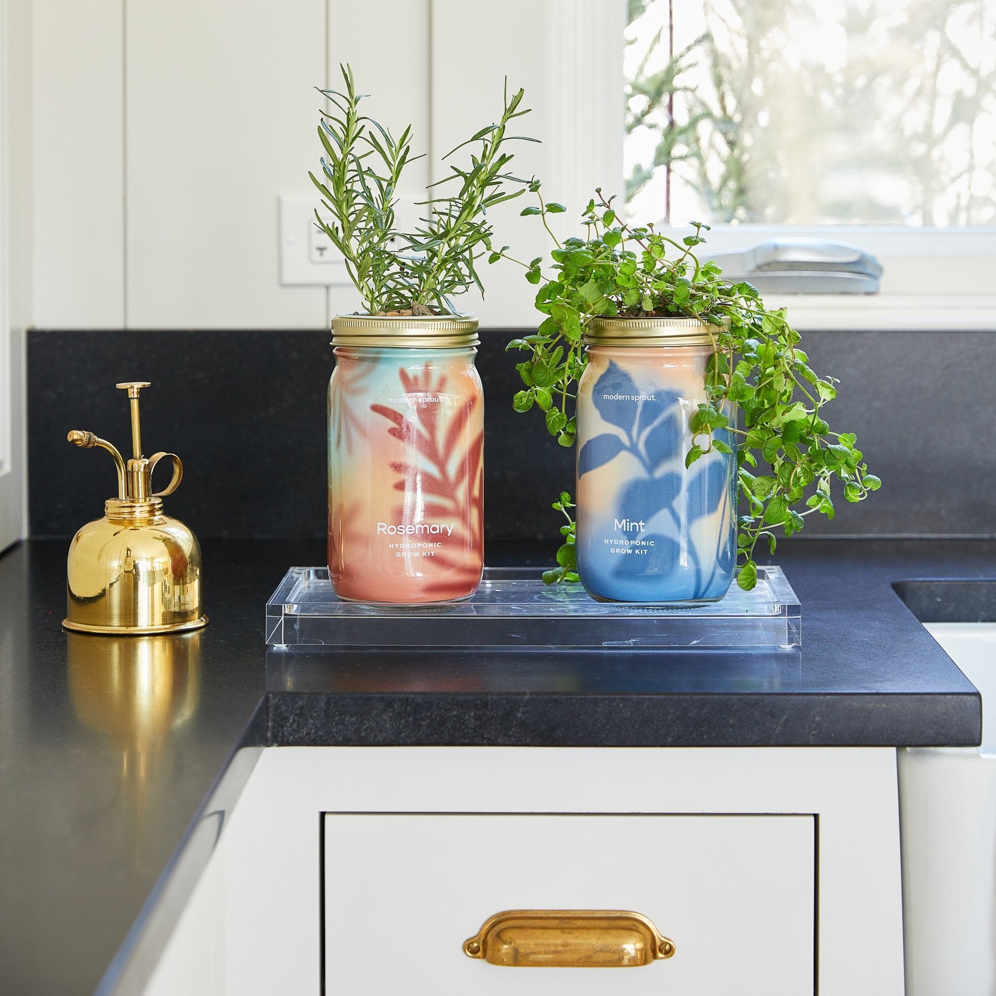 Garden Jars - Organic Herbs - Cheeky Garden