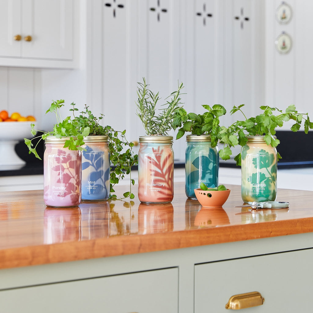 Garden Jars - Organic Herbs - Cheeky Garden
