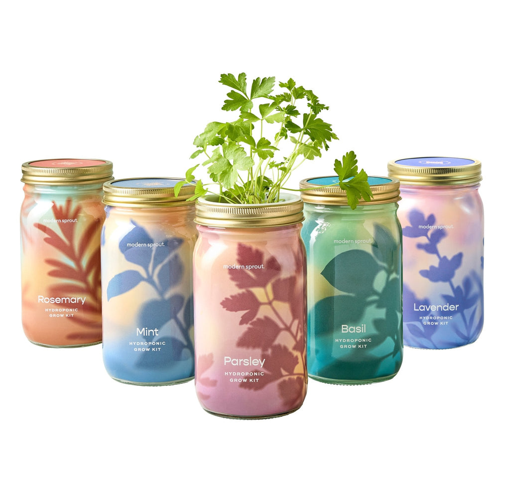 Garden Jars - Organic Herbs - Cheeky Garden