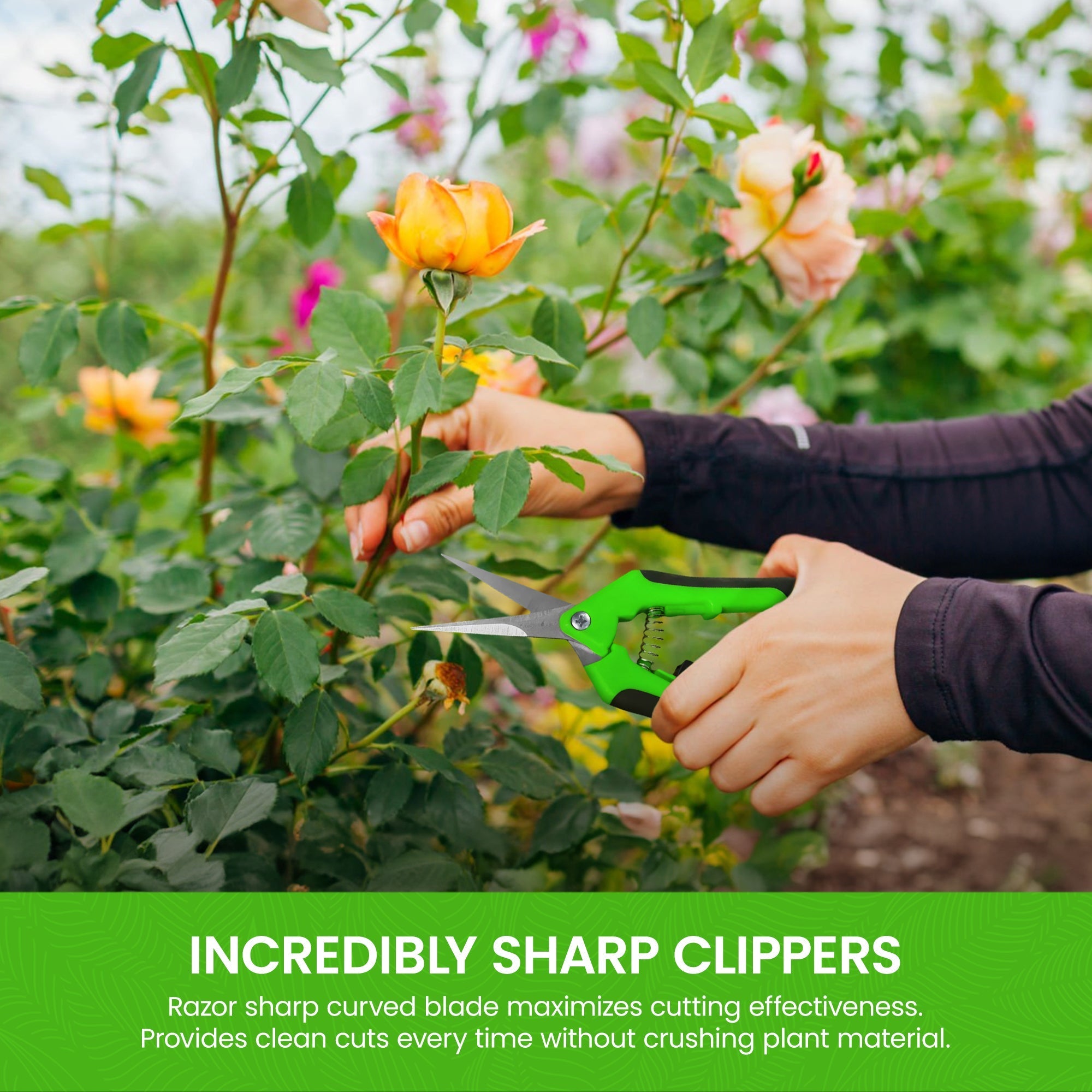 Garden Micro Snips - Cheeky Garden