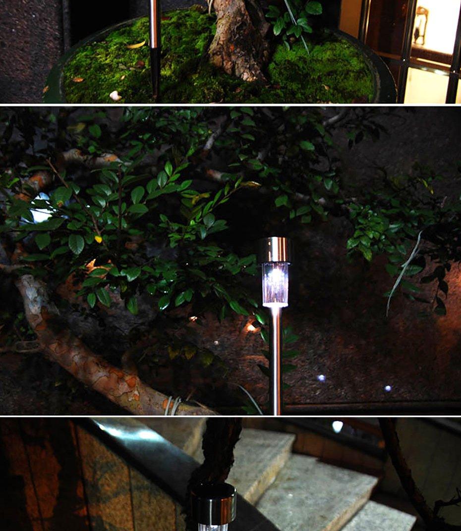 Garden Premium LED Solar Luxury Stainless Steel Lights For Yard Pathway Walkway More Pieces Outdoor - Cheeky Garden