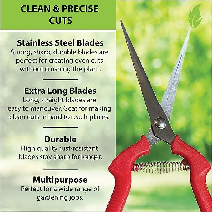 Garden Pruning Snips Clippers - Cheeky Garden