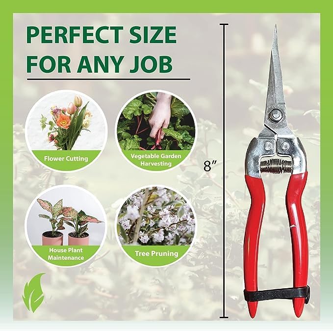 Garden Pruning Snips Clippers - Cheeky Garden