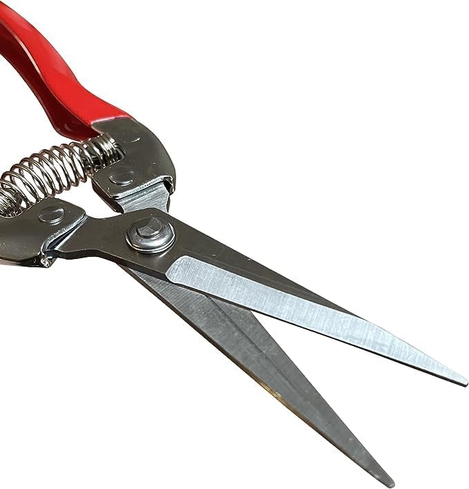 Garden Pruning Snips Clippers - Cheeky Garden