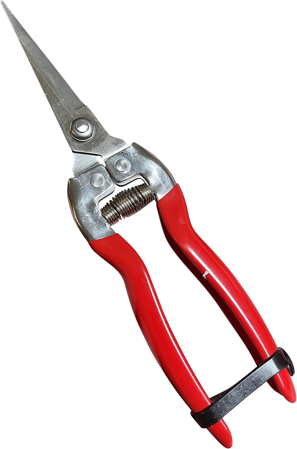 Garden Pruning Snips Clippers - Cheeky Garden
