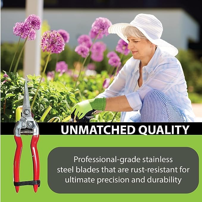 Garden Pruning Snips Clippers - Cheeky Garden
