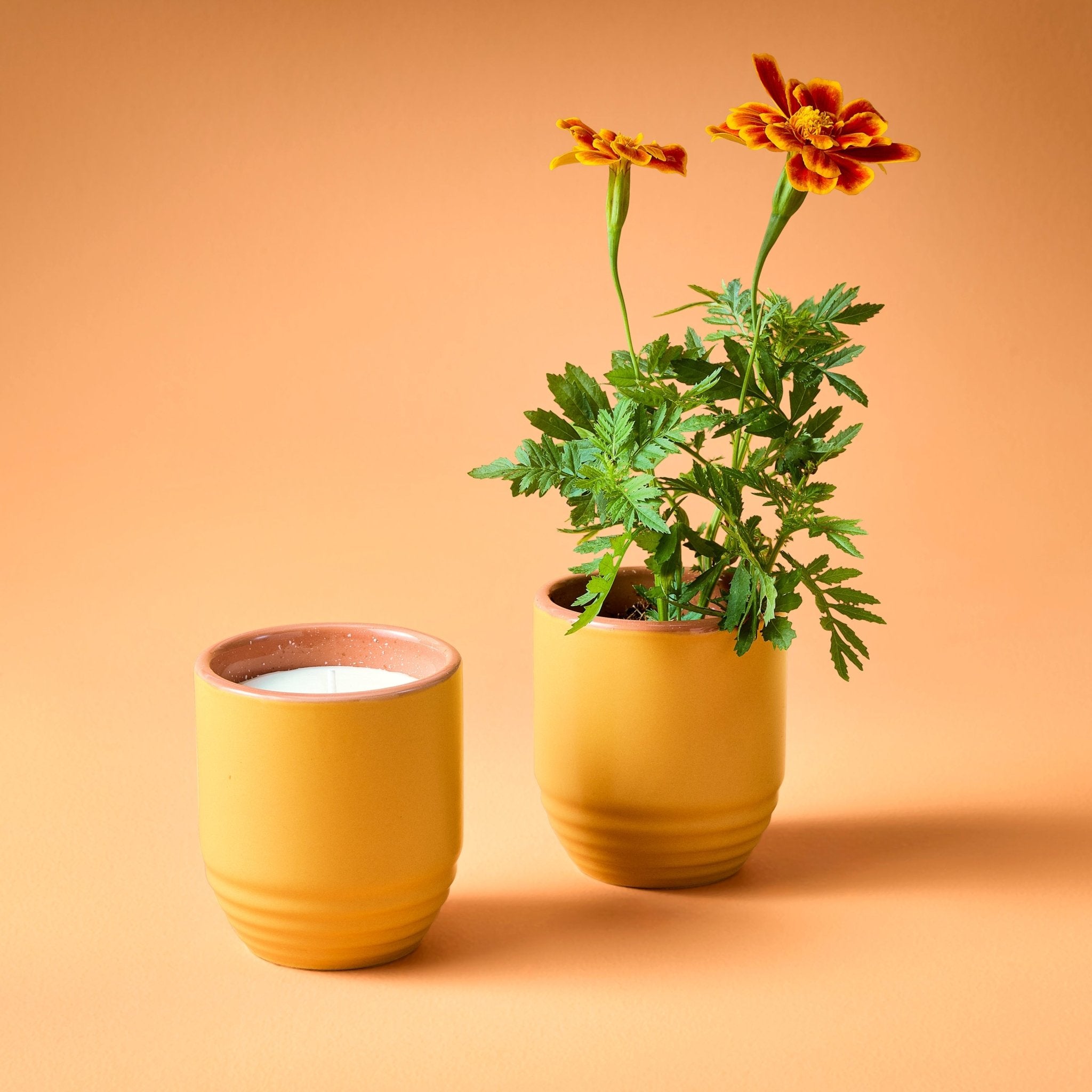 Garden Vibes Candle/Planter 2-in-1 - Cheeky Garden