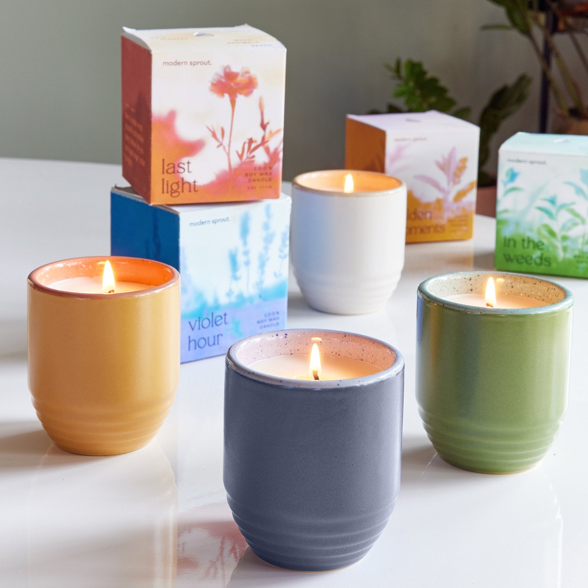 Garden Vibes Candle/Planter 2-in-1 - Cheeky Garden