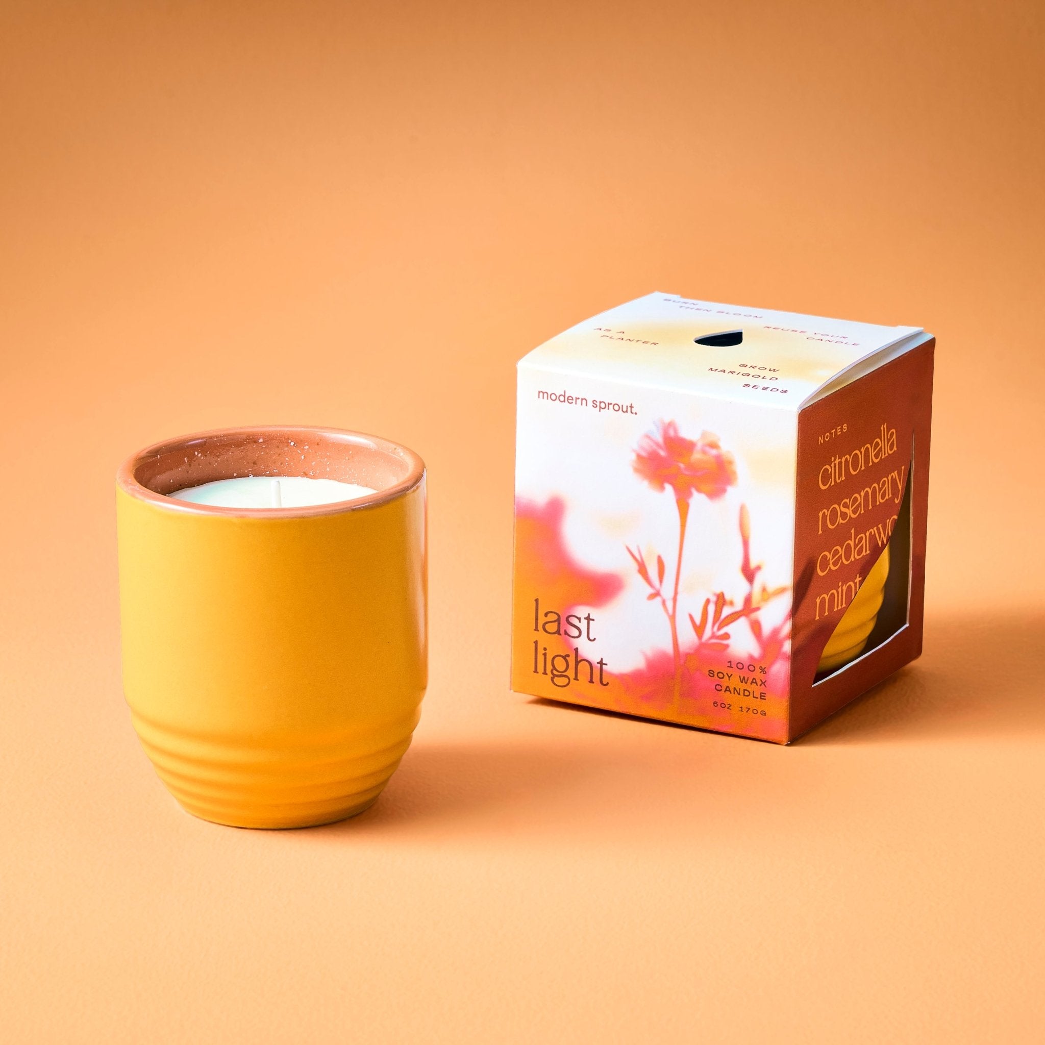 Garden Vibes Candle/Planter 2-in-1 - Cheeky Garden