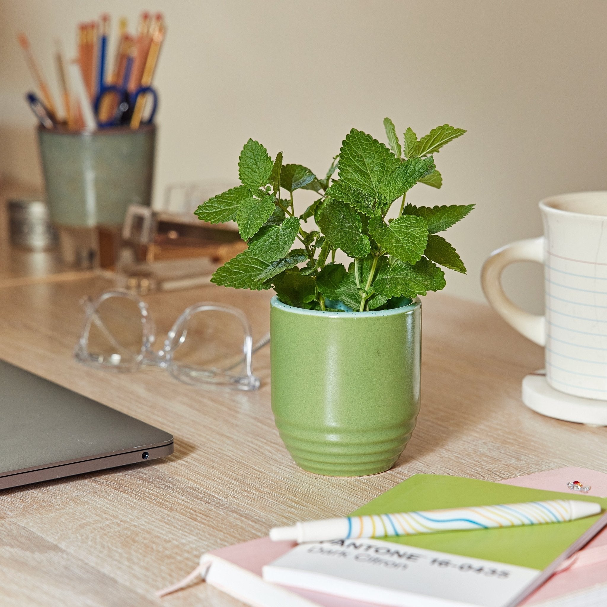 Garden Vibes Candle/Planter 2-in-1 - Cheeky Garden