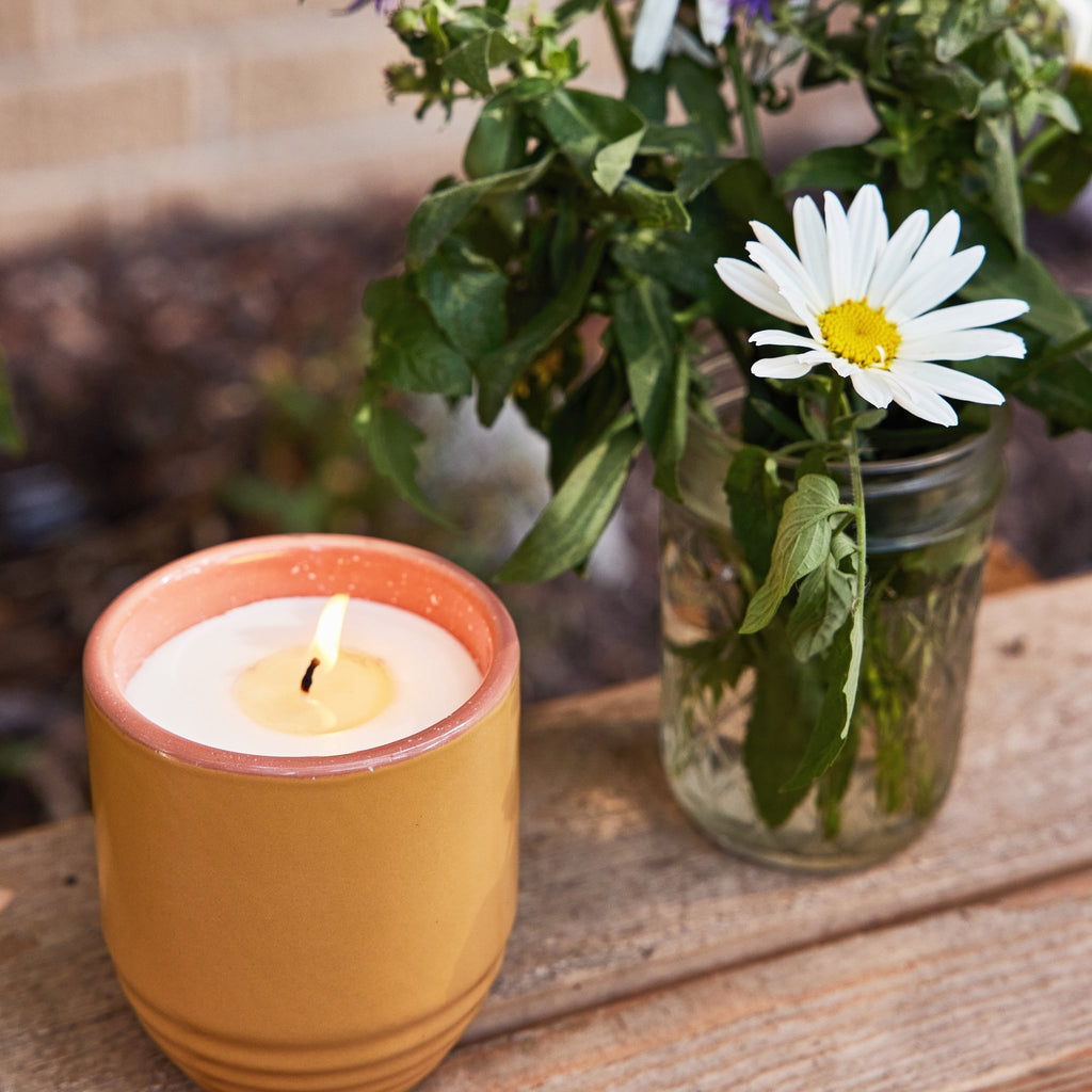 Garden Vibes Candle/Planter 2-in-1 - Cheeky Garden