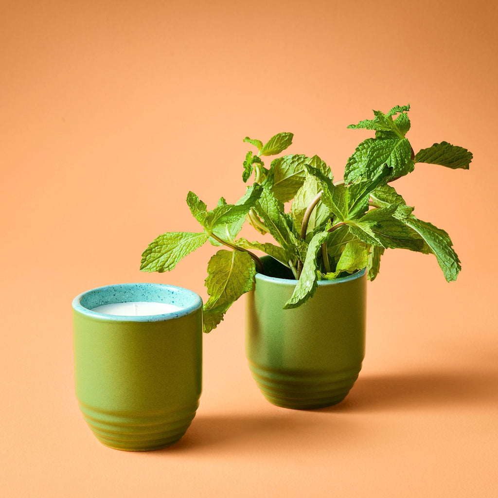 Garden Vibes Candle/Planter 2-in-1 - Cheeky Garden