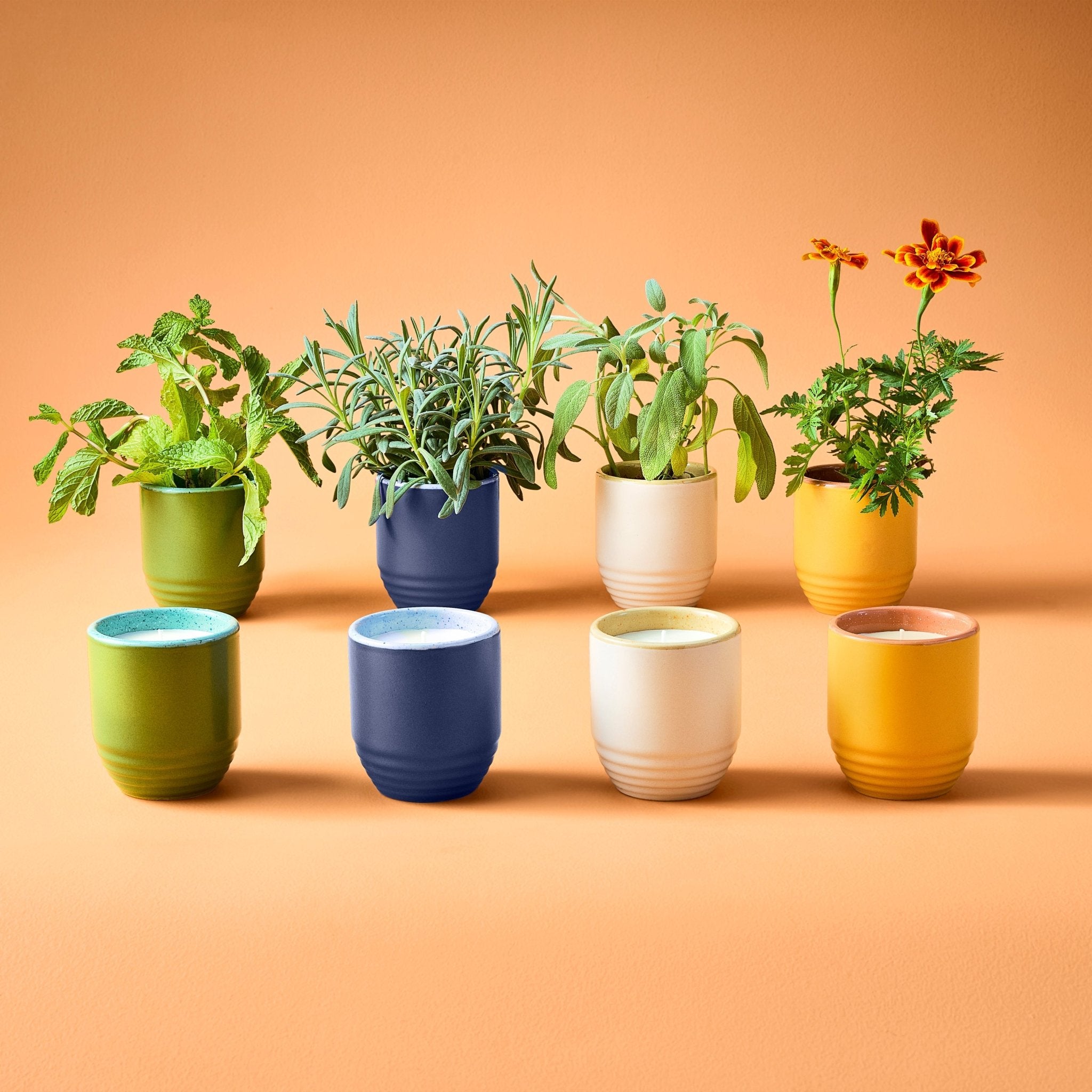 Garden Vibes Candle/Planter 2-in-1 - Cheeky Garden